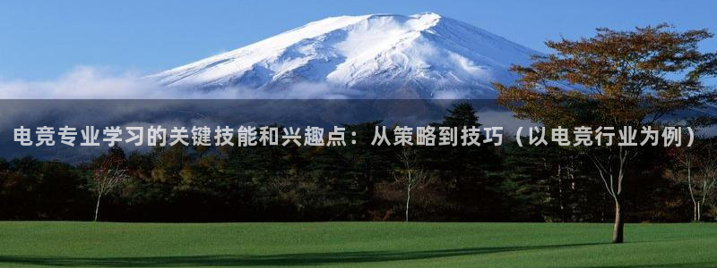 db电竞官网：电竞专业学习的关键技能和兴趣点：从策略到技巧（以电竞行业为例）