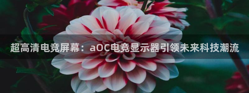 db电竞官网