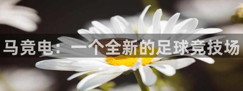 db电竞官网：马竞电：一个全新的足球竞技场