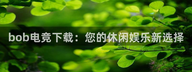 db电竞登陆：bob电竞下载：您的休闲娱乐新选择